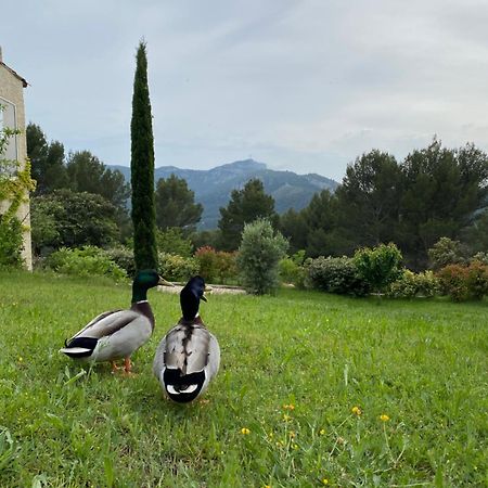 La Maison Perchee Auriol Exteriör bild